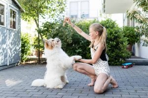 Girl playing with dog in the yard